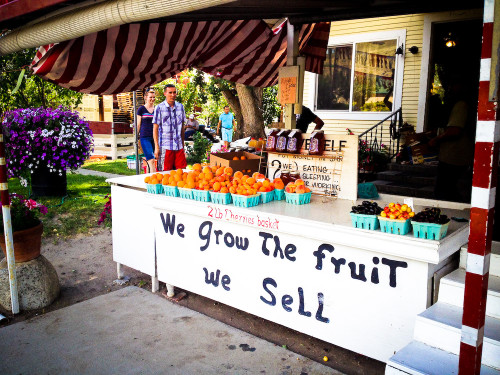 Fruit Stand WA